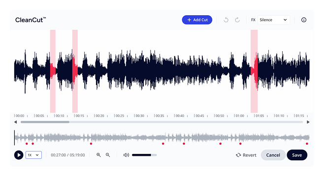 CleanCut Editor Interface